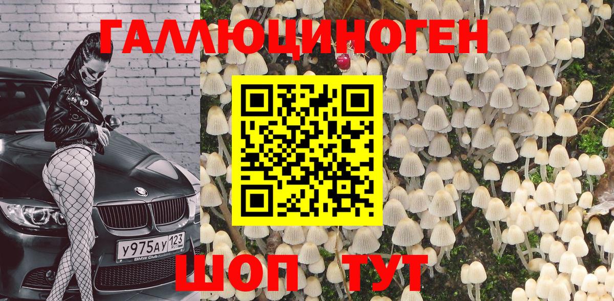 Красноуфимск  Псилоцибиновые грибы GOLDEN TEACHER  Вход с VPN 